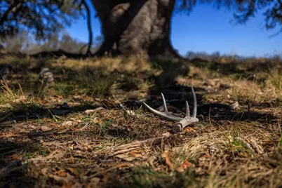 2020 Wendel Road, Harper, TX 78631 - Photo 35