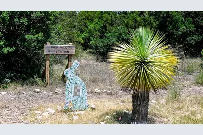 145 Leaning Rock Ridge, Austin, TX 78737 - Photo 7