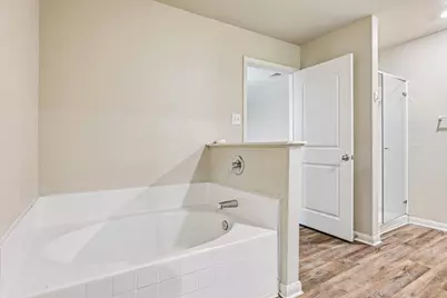 117 Cherry Tree Lane, Liberty Hill, TX 78642 - Photo 19