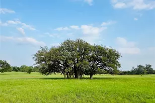 320 S Waterbuck Wy, Lampasas, TX 76550 - Photo 17