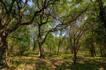 Tbd County Road 180 Rolling Pond Ranch Road, Purmela, TX 76566 - Photo 9