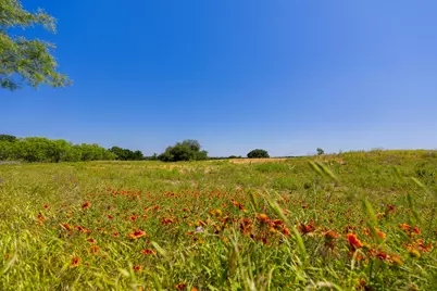 Tbd County Road 180 Rolling Pond Ranch Road, Purmela, TX 76566 - Photo 13