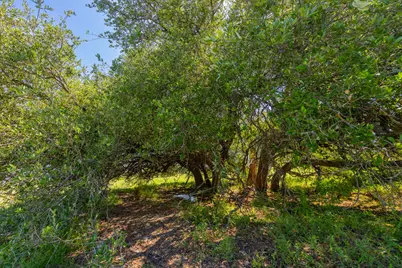 Tbd County Road 180 Rolling Pond Ranch Road, Purmela, TX 76566 - Photo 7