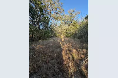 Lot 194 Kaelepulu Drive, Bastrop, TX 78602 - Photo 5