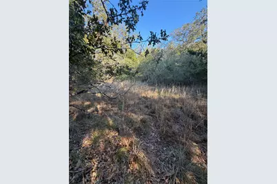 Lot 194 Kaelepulu Drive, Bastrop, TX 78602 - Photo 3