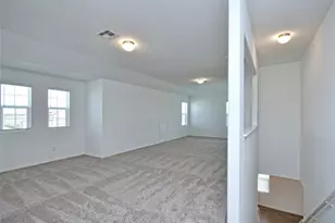 6520 Strelitzia Cove, Round Rock, TX 78665 - Photo 17