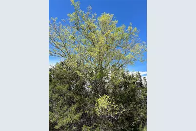 17 Heathrow Lane, Wimberley, TX 78676 - Photo 5