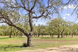 434 W Turner Ct, Johnson City, TX 78636 - Photo 33