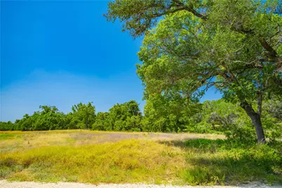 564 Bluff Springs Drive, Driftwood, TX 78619 - Photo 5