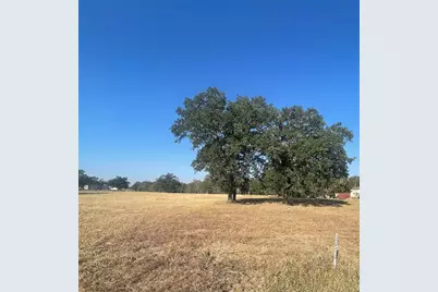 Tbd League Line Road, Paige, TX 78659 - Photo 9