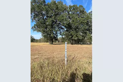 Tbd League Line Road, Paige, TX 78659 - Photo 11