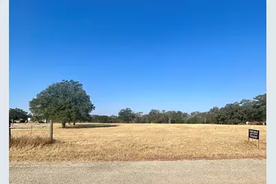 Tbd League Line Road, Paige, TX 78659 - Photo 5