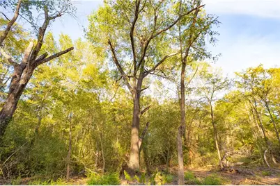 12424 Red Hill Road, Hearne, TX 77859 - Photo 15