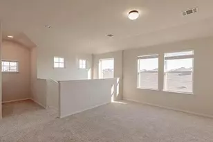 229 Gray Wolf Dr, San Marcos, TX 78666 - Photo 19