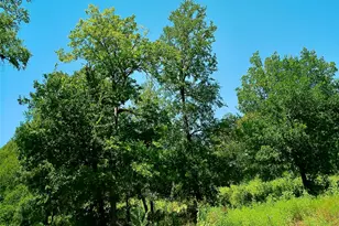 Lot 22 Serenity Dr, Bertram, TX 78605 - Photo 1