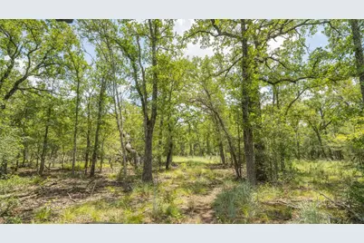 418-G County Road 405, Buckholts, TX 76518 - Photo 15