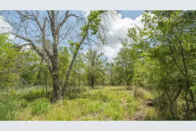 418-G County Road 405, Buckholts, TX 76518 - Photo 7