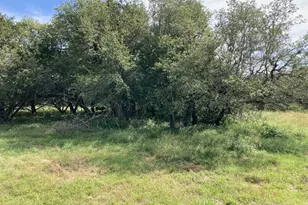 1050 Harmon Hills Rd, Dripping Springs, TX 78620 - Photo 27