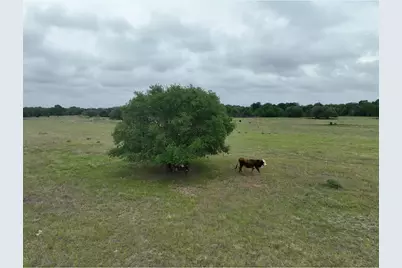 Lot 2 Cr 127, Ledbetter, TX 78946 - Photo 9