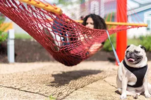 7011 Stitzel Weller Dr, Austin, TX 78744 - Photo 5