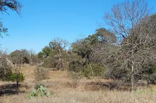 Lot 50 Pristine Pass, Buchanan Dam, TX 78609 - Photo 1