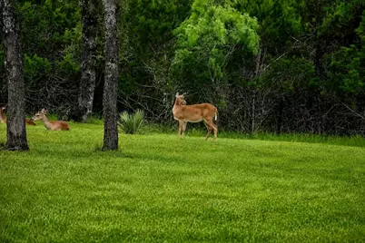 335 Turkey Tree Road, Spicewood, TX 78669 - Photo 7
