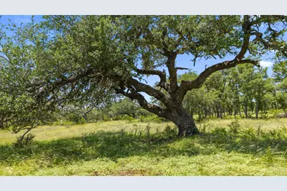 936 Lot 2 Lindeman Lane, Blanco, TX 78606 - Photo 7