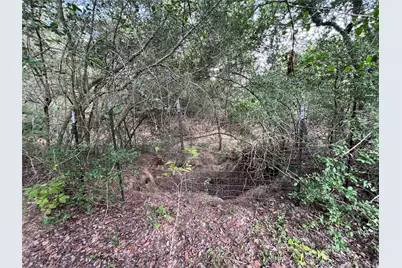 361 Laura Lane, Bastrop, TX 78602 - Photo 21