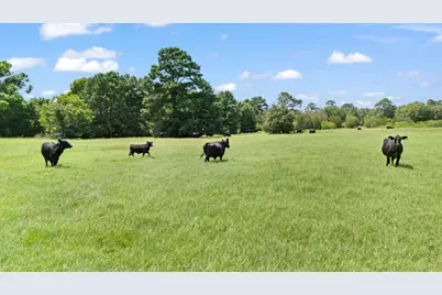 Tbd St Delight (Tract 1) Road, Paige, TX 78659 - Photo 1