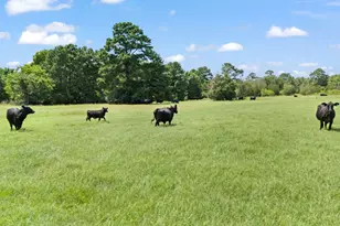 Tbd St Delight (Tract 1) Rd, Paige, TX 78659 - Photo 1