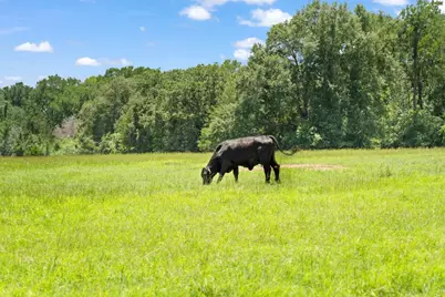 Tbd St Delight (Tract 1) Road, Paige, TX 78659 - Photo 5