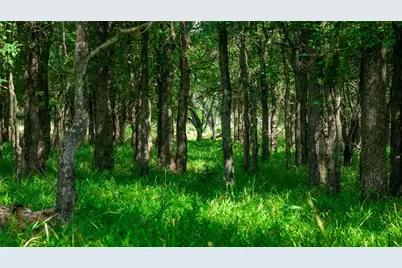 000 County Road 180 Road, Purmela, TX 76566 - Photo 9