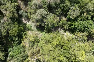 1611 W Main St, Little River-Academy, TX 76554 - Photo 25