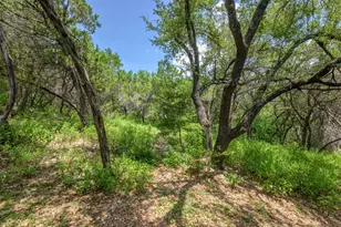 6702 Cat Creek Trail, Austin, TX 78731 - Photo 33