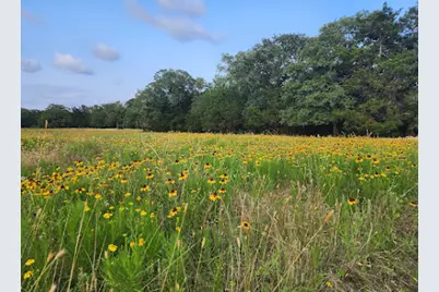 000 Fm 812 Road, Cedar Creek, TX 78612 - Photo 3
