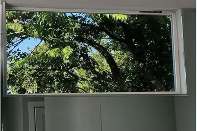 6913 Providence Avenue #A, Austin, TX 78752 - Photo 25