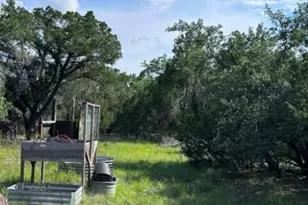 417 Prochnow Rd, Dripping Springs, TX 78620 - Photo 5