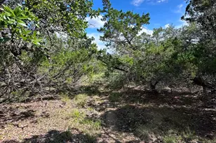 417 Prochnow Rd, Dripping Springs, TX 78620 - Photo 29