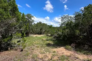 417 Prochnow Rd, Dripping Springs, TX 78620 - Photo 25