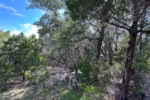 417 Prochnow Rd, Dripping Springs, TX 78620 - Photo 25