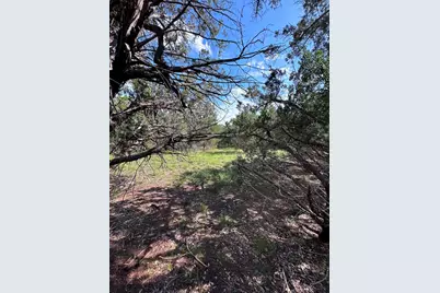 417 Prochnow Road, Dripping Springs, TX 78620 - Photo 13