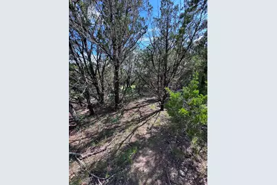 417 Prochnow Road, Dripping Springs, TX 78620 - Photo 27