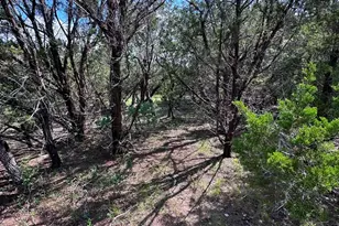 417 Prochnow Rd, Dripping Springs, TX 78620 - Photo 27