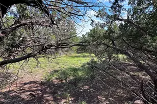 417 Prochnow Rd, Dripping Springs, TX 78620 - Photo 27