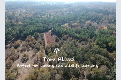 319 Matthew Cove, Bastrop, TX 78602 - Photo 7