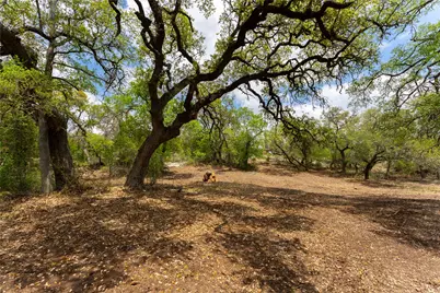 523 Dario Drive, Dripping Springs, TX 78620 - Photo 5