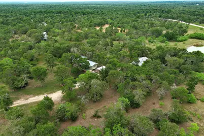 339 Elm Forest Loop, Cedar Creek, TX 78612 - Photo 9