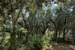 25009 Ranch Rd, Leander, TX 78641 - Photo 23