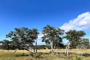 Lot 41 Buckskin Path Path, Fredericksburg, TX 78624 - Photo 1