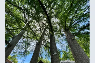 1317 E Zipp Road, New Braunfels, TX 78130 - Photo 35